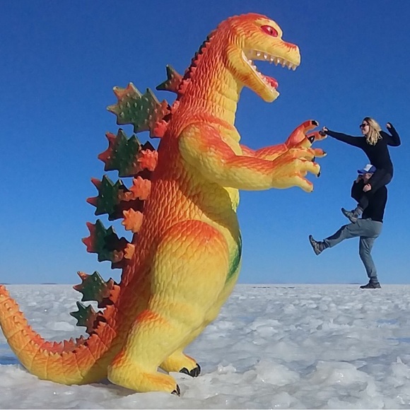 Meet your Posher, Courtney - Picture 8 of 12